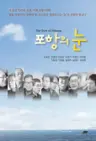 포항의 눈