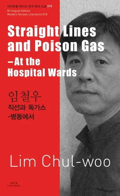 임철우 : 직선과 독가스 Straight Lines and Poison Gas